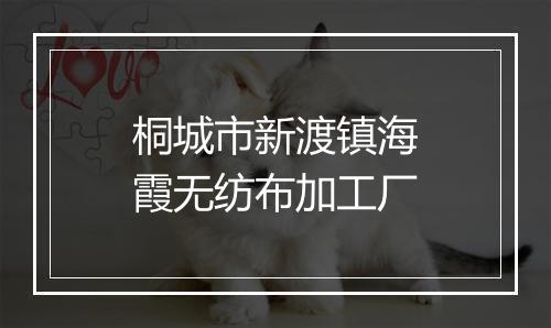 桐城市新渡镇海霞无纺布加工厂