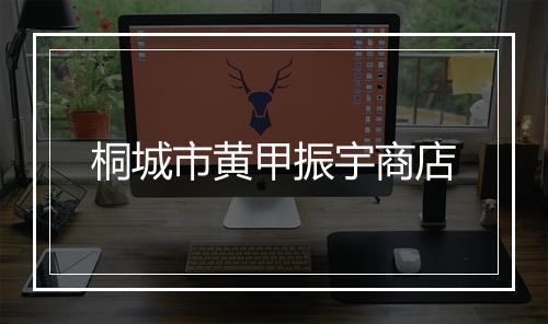 桐城市黄甲振宇商店