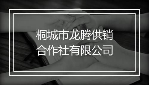 桐城市龙腾供销合作社有限公司