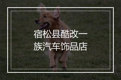 宿松县酷改一族汽车饰品店