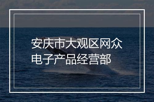安庆市大观区网众电子产品经营部
