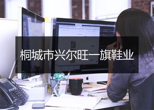 桐城市兴尔旺一旗鞋业
