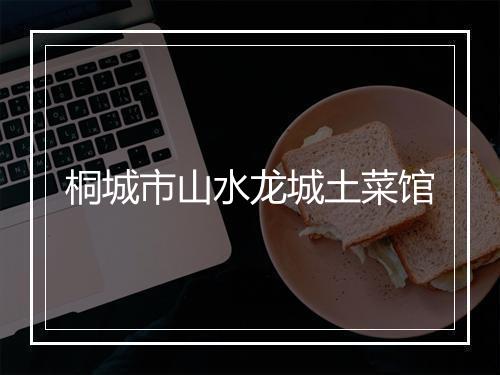 桐城市山水龙城土菜馆
