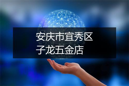 安庆市宜秀区子龙五金店