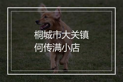 桐城市大关镇何传满小店