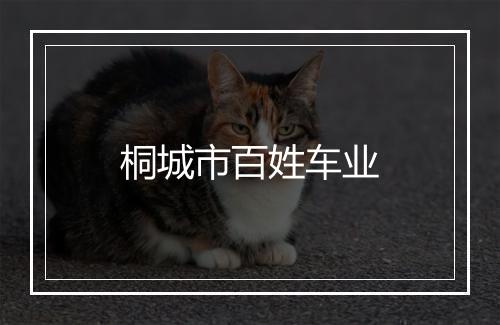 桐城市百姓车业