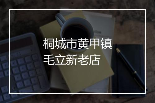 桐城市黄甲镇毛立新老店