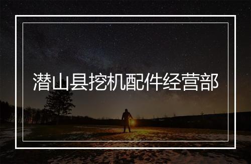 潜山县挖机配件经营部