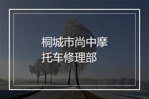 桐城市尚中摩托车修理部