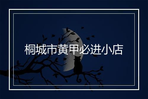 桐城市黄甲必进小店