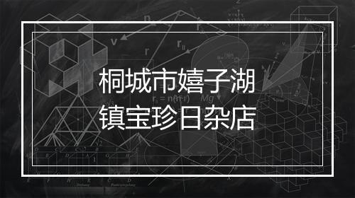 桐城市嬉子湖镇宝珍日杂店