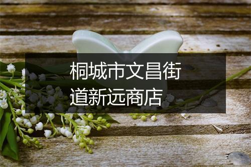 桐城市文昌街道新远商店