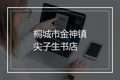 桐城市金神镇尖子生书店