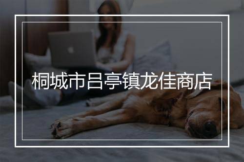 桐城市吕亭镇龙佳商店