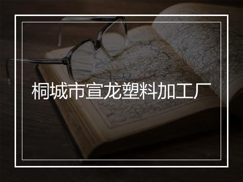 桐城市宣龙塑料加工厂