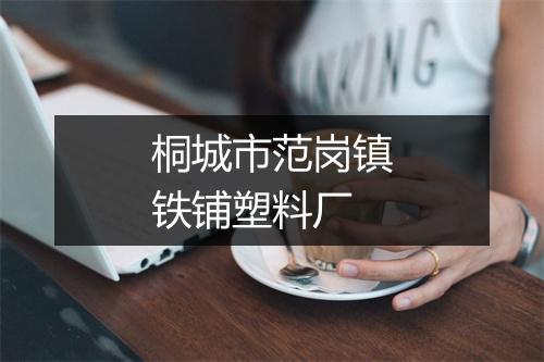 桐城市范岗镇铁铺塑料厂