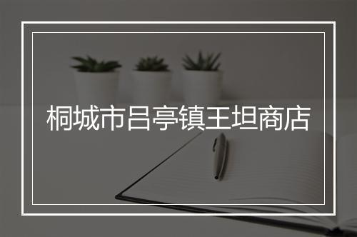 桐城市吕亭镇王坦商店