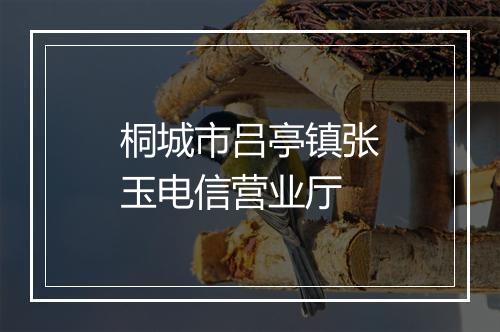 桐城市吕亭镇张玉电信营业厅