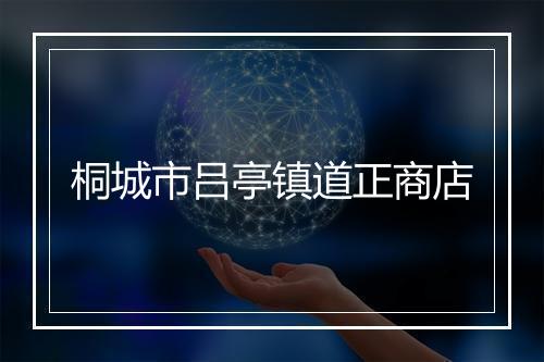 桐城市吕亭镇道正商店