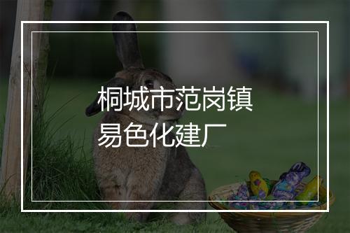 桐城市范岗镇易色化建厂