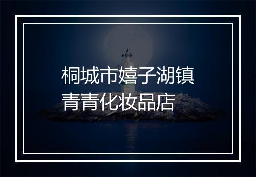 桐城市嬉子湖镇青青化妆品店