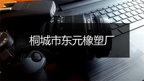 桐城市东元橡塑厂