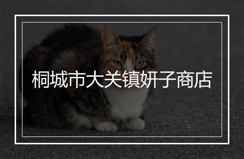 桐城市大关镇妍子商店