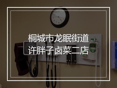 桐城市龙眠街道许胖子卤菜二店
