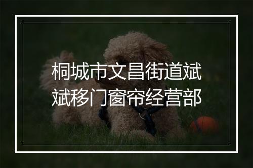 桐城市文昌街道斌斌移门窗帘经营部