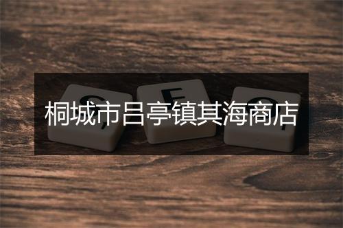 桐城市吕亭镇其海商店