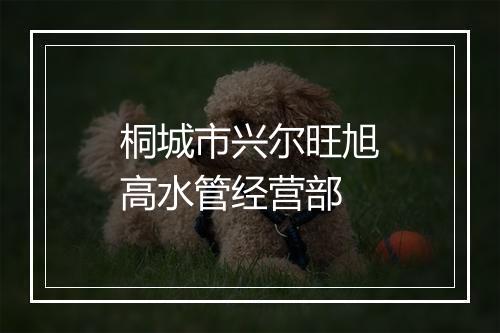 桐城市兴尔旺旭高水管经营部