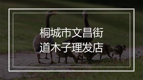 桐城市文昌街道木子理发店