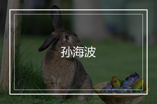 孙海波