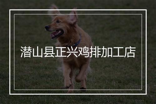 潜山县正兴鸡排加工店