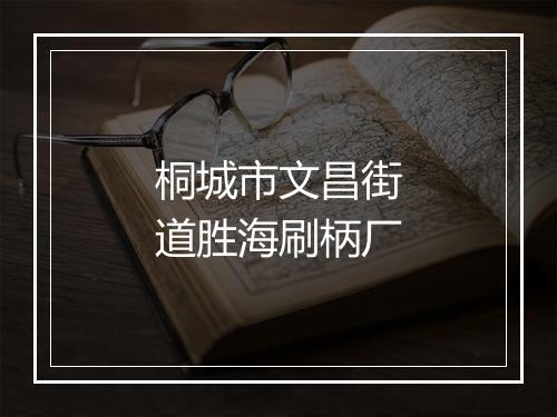 桐城市文昌街道胜海刷柄厂