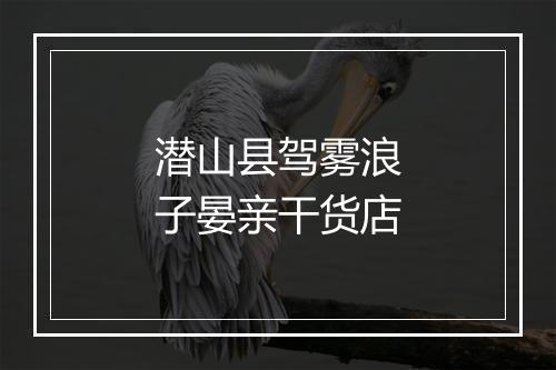 潜山县驾雾浪子晏亲干货店