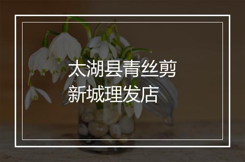 太湖县青丝剪新城理发店