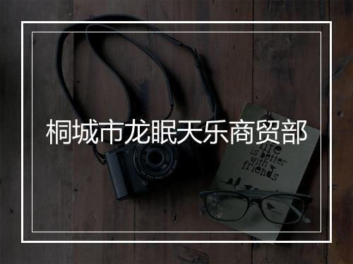 桐城市龙眠天乐商贸部