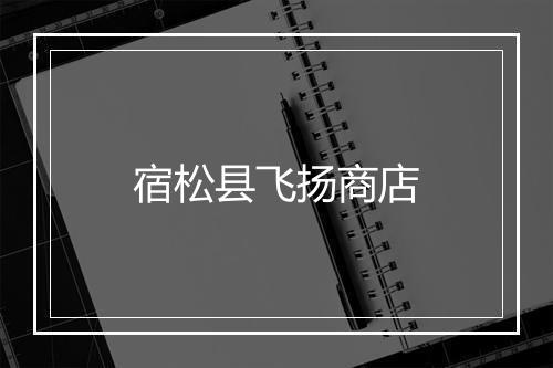 宿松县飞扬商店
