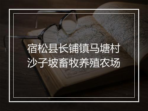 宿松县长铺镇马塘村沙子坡畜牧养殖农场
