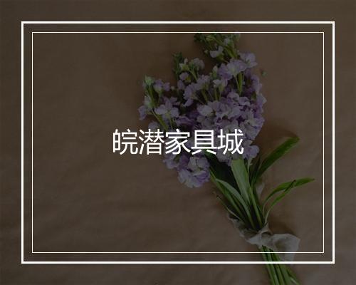 皖潜家具城