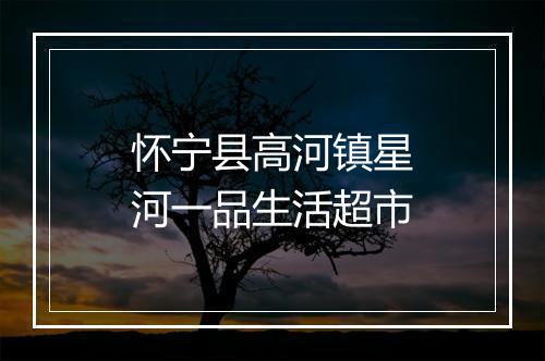 怀宁县高河镇星河一品生活超市