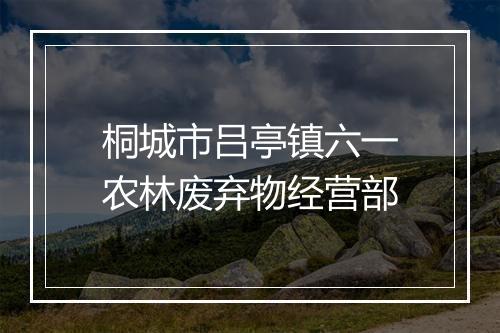 桐城市吕亭镇六一农林废弃物经营部