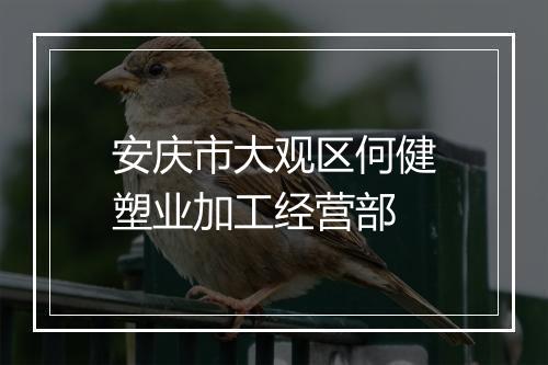 安庆市大观区何健塑业加工经营部