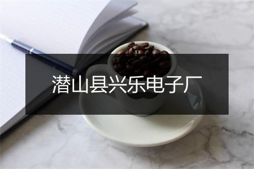 潜山县兴乐电子厂