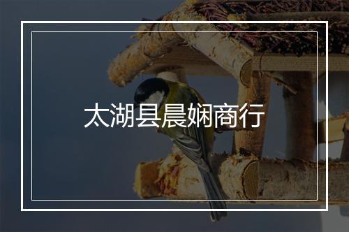 太湖县晨娴商行