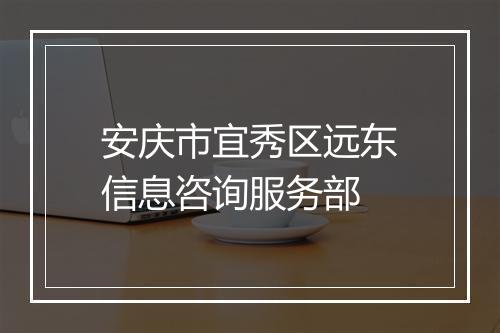 安庆市宜秀区远东信息咨询服务部