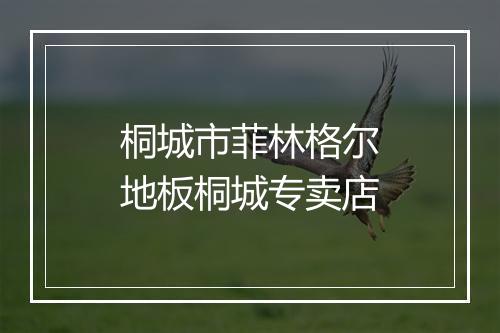 桐城市菲林格尔地板桐城专卖店