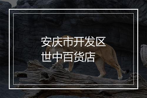 安庆市开发区世中百货店
