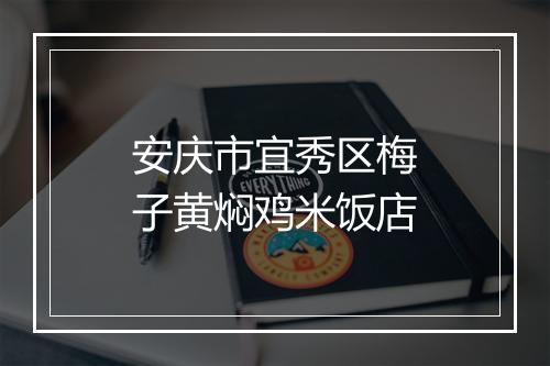 安庆市宜秀区梅子黄焖鸡米饭店